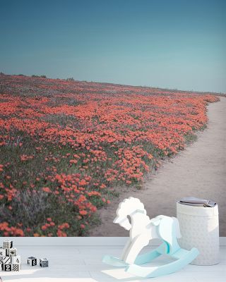 California Blooms IV