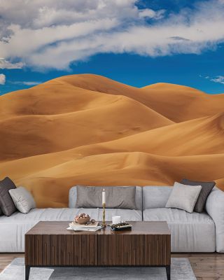Great Sand Dune of Colorado Wallpaper for Natural Decor