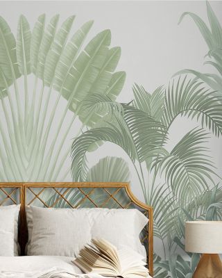 Tropical Crown, Chill