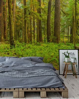 Ancient Woods Rustic Forest Wallpaper
