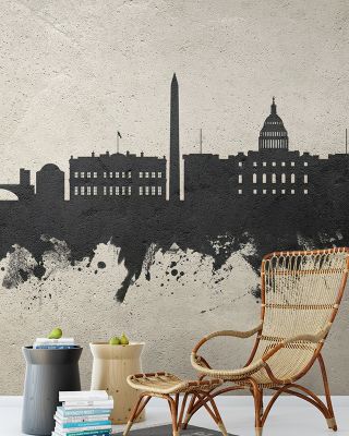 Washington DC Skyline Concrete