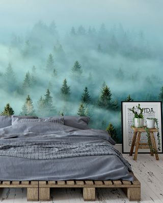 Morning Light and Fog Scenic Wallpaper