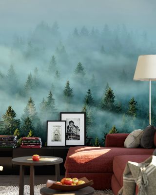 Morning Light and Fog Scenic Wallpaper