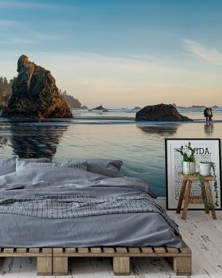 Ruby Beach Coastal Scenic Wallpaper