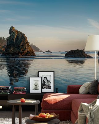 Ruby Beach Coastal Scenic Wallpaper