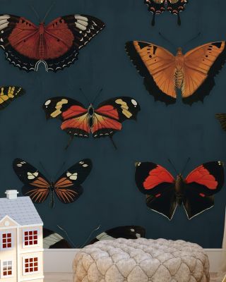 Butterfly Collection Teal Wallpaper