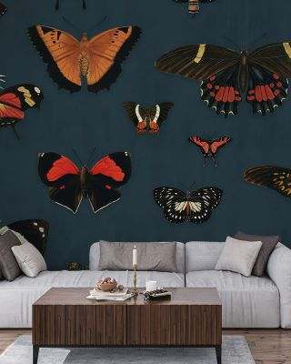Butterfly Collection Teal Wallpaper