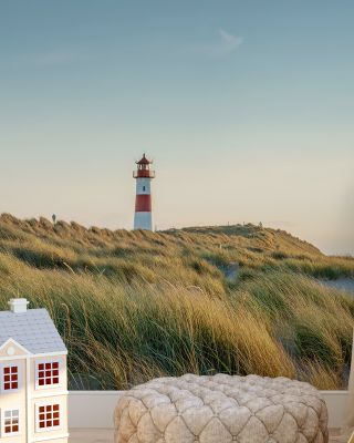 Coastal Stroll
