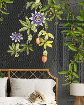 Dragons Fruit at Home