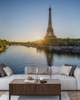 Eiffel on the Seine