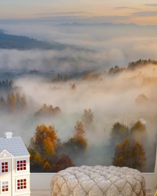 Foggy Birch Dream
