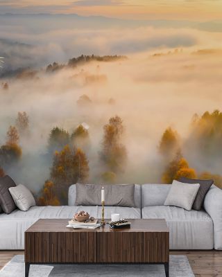 Foggy Birch Dream