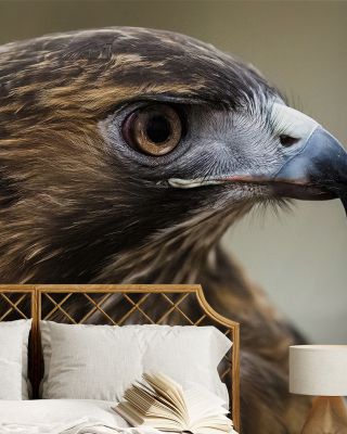 Hawkish Fierce Elegance Wallpaper