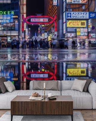 Kabukicho Nightlife Reflections