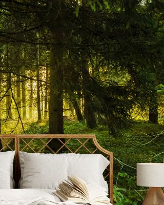 Nordic Woodland Wallpaper
