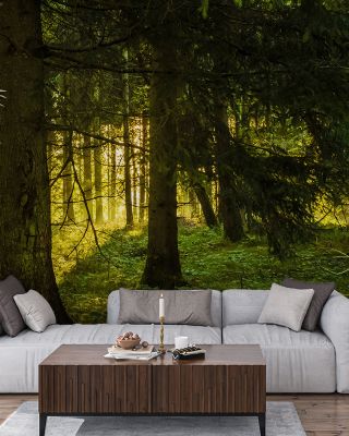 Nordic Woodland Wallpaper