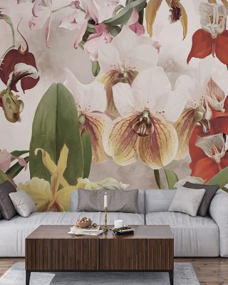 Orchid Wallpaper