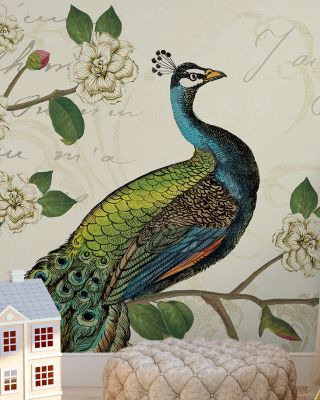 Peacock Arbor I Wallpaper