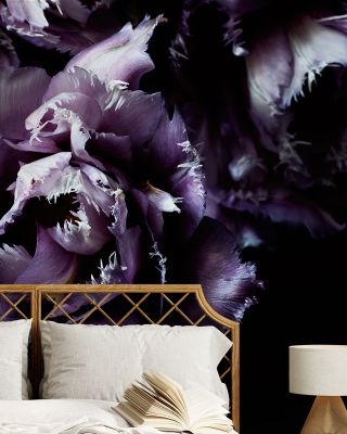 Purple Fringed Tulips II Wallpaper