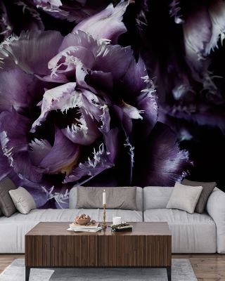Purple Fringed Tulips II Wallpaper