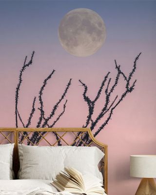 Reaching For The Moon Wallpaper