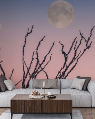 Reaching For The Moon Wallpaper