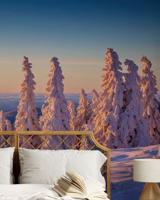 Top of the Mountain Wallpaper