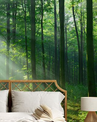 Tranquil Woods Wallpaper