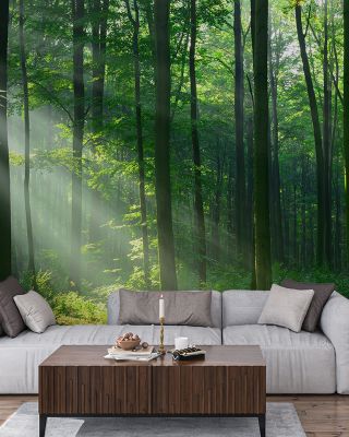 Tranquil Woods Wallpaper