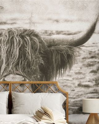 You Have My Attention Wallpaper