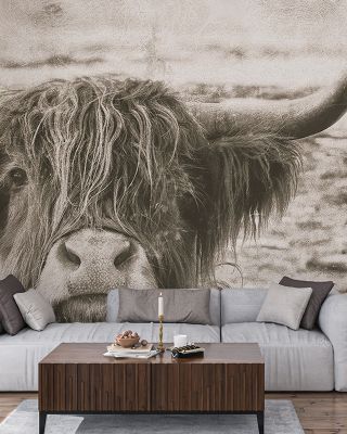 You Have My Attention Wallpaper