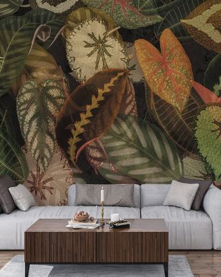 Monstera Leafy Bush Dark Wallpaper
