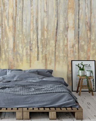 Birches in Winter Serene Wallpaper