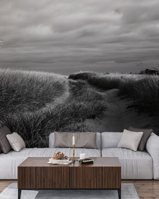 Beach Grasses Scenic Wallpaper