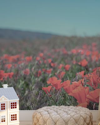 California Blooms I Floral Wallpaper