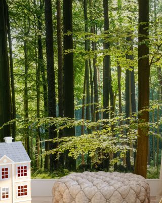 Deep Sunny Woods Scenic Wallpaper