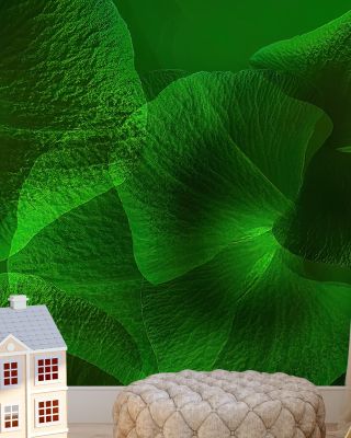 Green Landscape Scenic Wallpaper