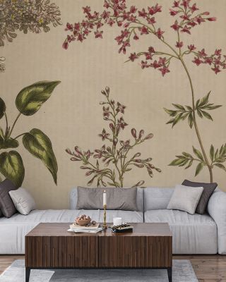 Herbal Botanical I Floral Wallpaper