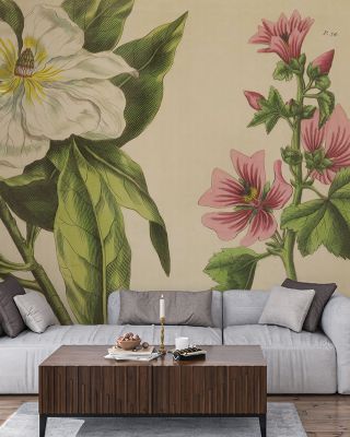 Herbal Botanical II Floral Wallpaper