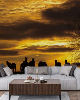 Horses at Sunset Scenic Wallpaper