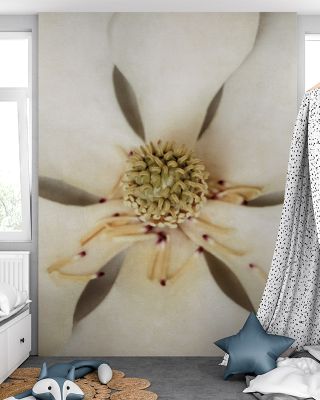 Magnolia Detail I Floral Wallpaper