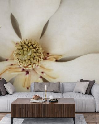 Magnolia Detail I Floral Wallpaper