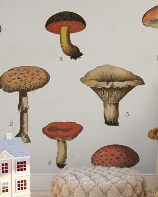 Mushroom Chart I Light Wallpaper