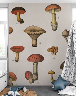 Mushroom Chart I Light Wallpaper