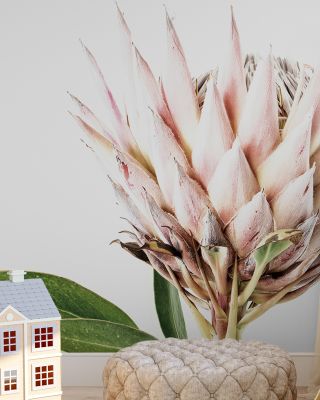 Pastel Protea Floral Wallpaper