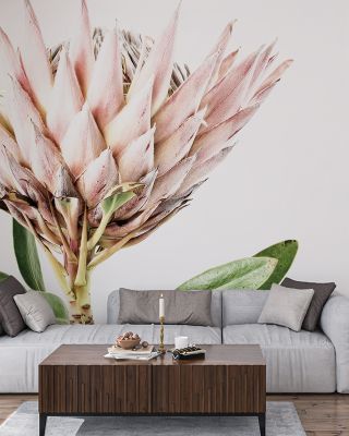 Pastel Protea Floral Wallpaper