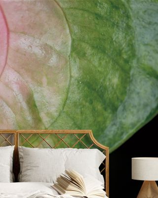 Pink And Green Floral Wallpaper