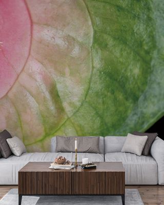 Pink And Green Floral Wallpaper