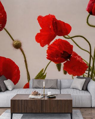 Red Poppy Floral Wallpaper