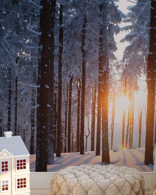 Snowy Woods at Sunset Scenic Wallpaper